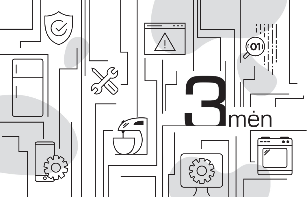 3 mėnesių IT pagalbos paketas