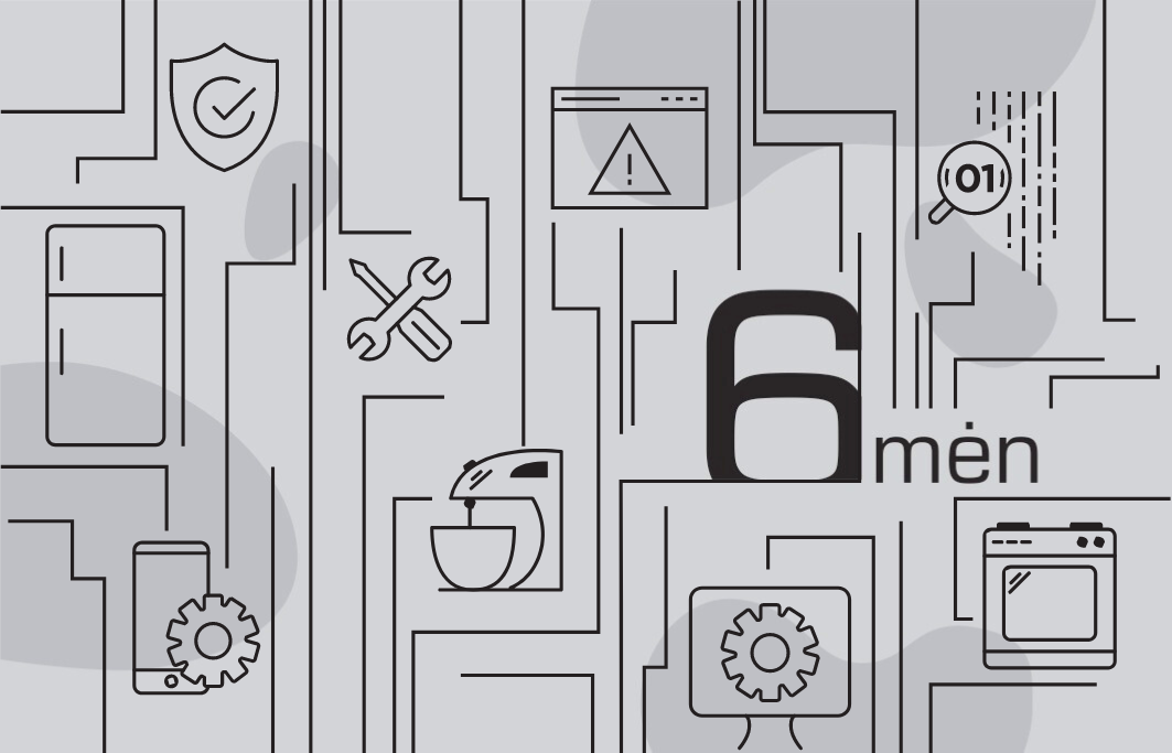 6 Mėnesių IT pagalbos paketas