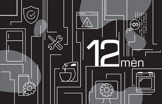 12 Mėnesių IT pagalbos paketas